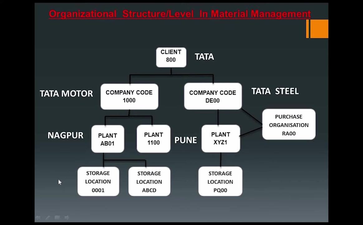 Organizational structure diagram emphasizing assignment rules between company code and plant