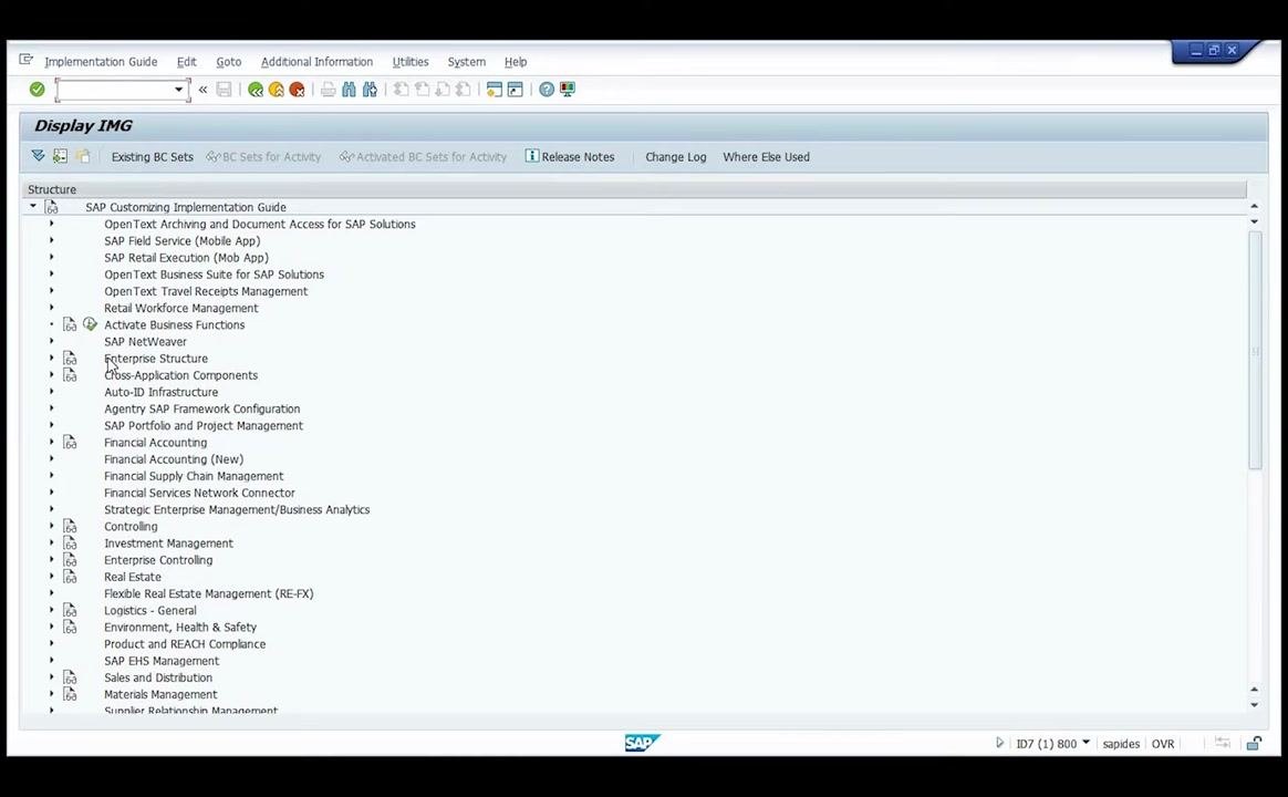 Display IMG screen with Enterprise Structure highlighted in the navigation tree