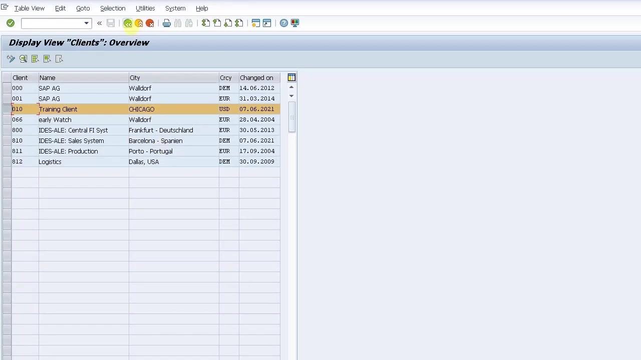 Display View 'Clients': Overview screen with client 010 highlighted