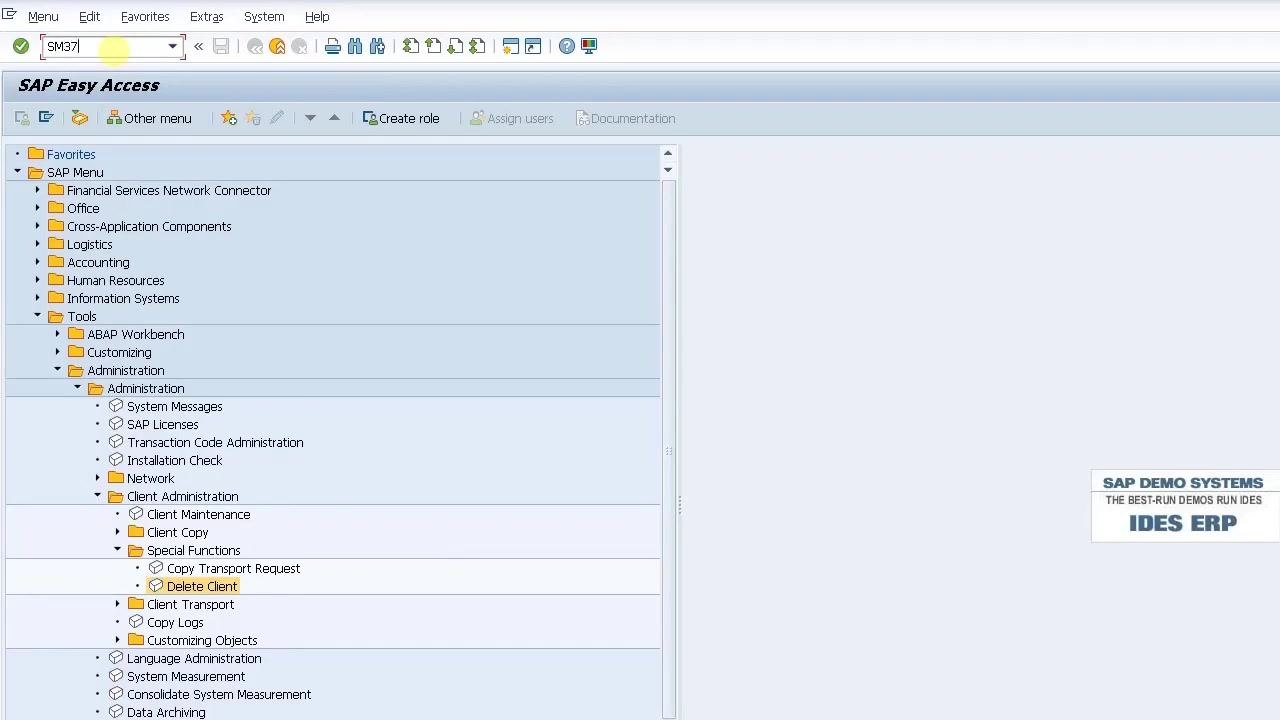 Background Print Parameters dialog with Output Device LP01 and Number of Copies 1