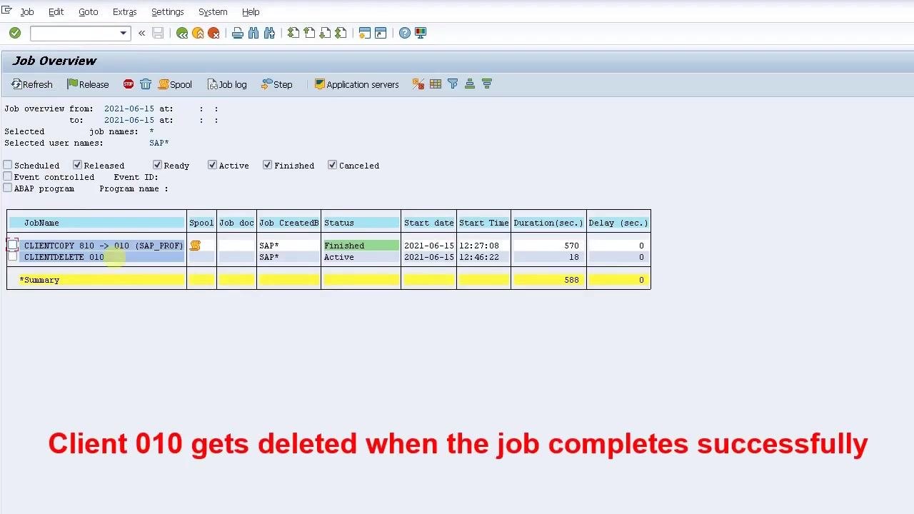 Job Overview screen showing CLIENTDELETE 010 as Active, with red message about client deletion