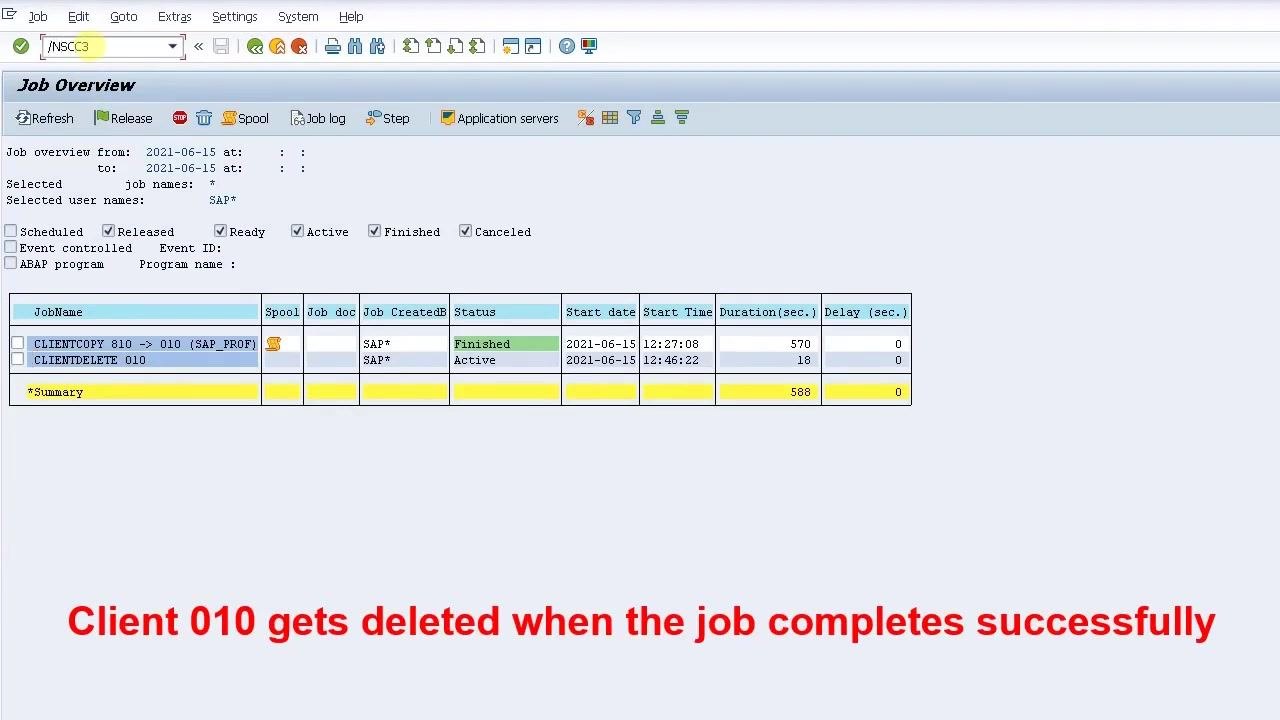 Client Copy/Transport Log Analysis screen showing client 010 deletion in progress