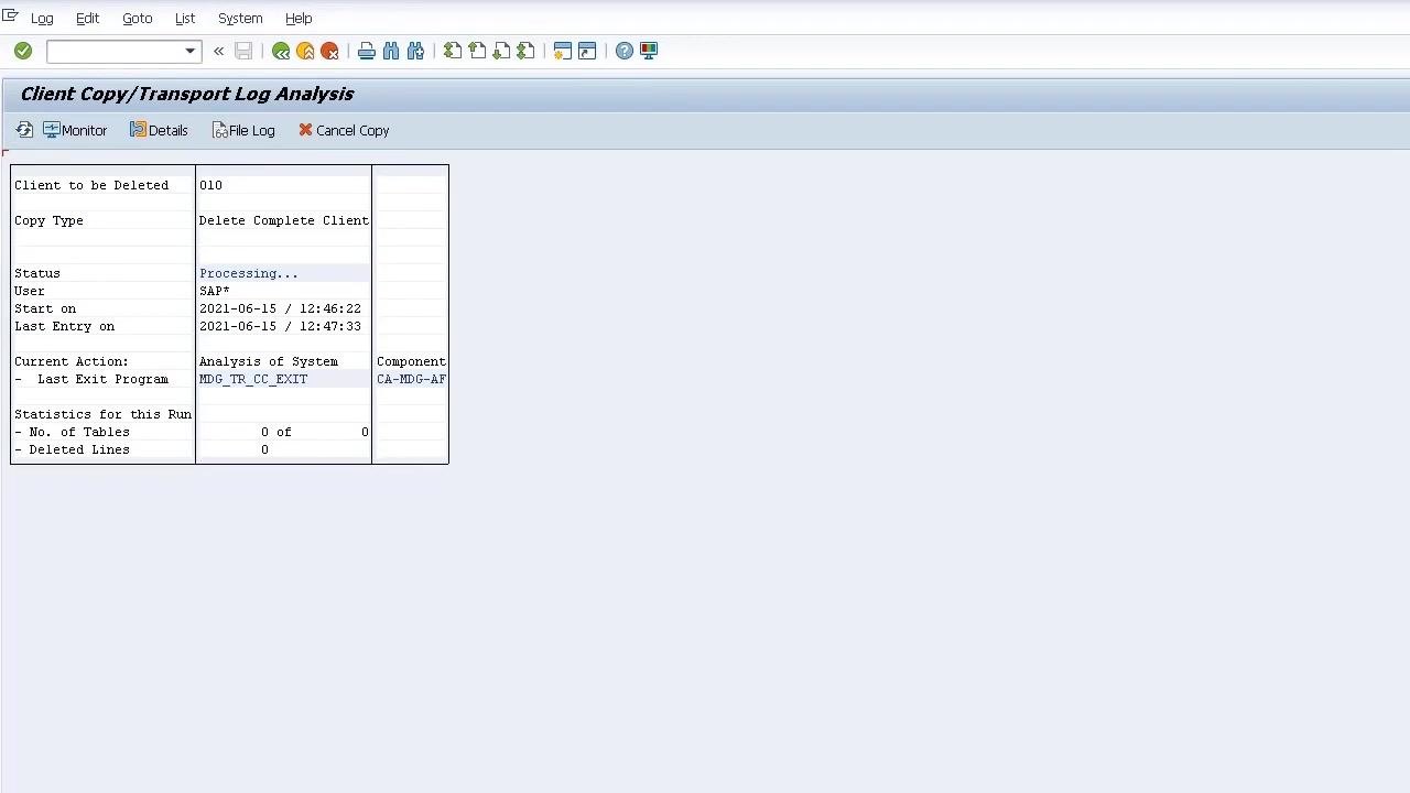 Client Copy/Transport Log Analysis screen showing updated current action and component