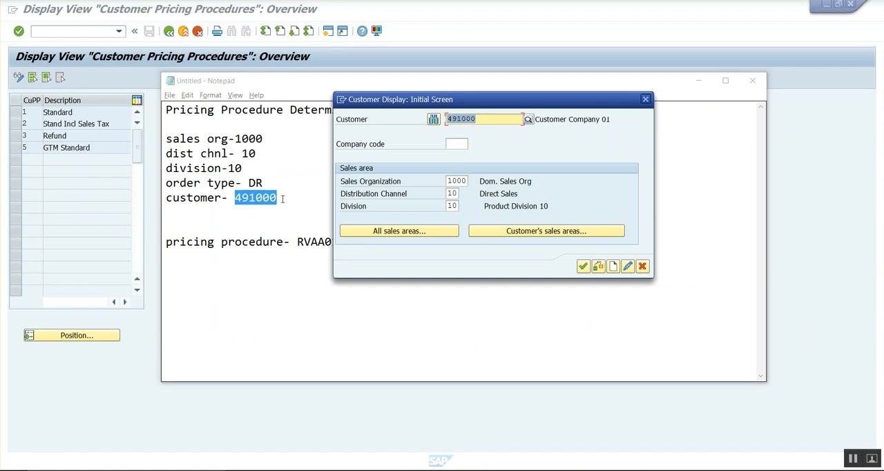 SAP "Customer Display: Initial Screen" with Customer 491000 and sales area data entered