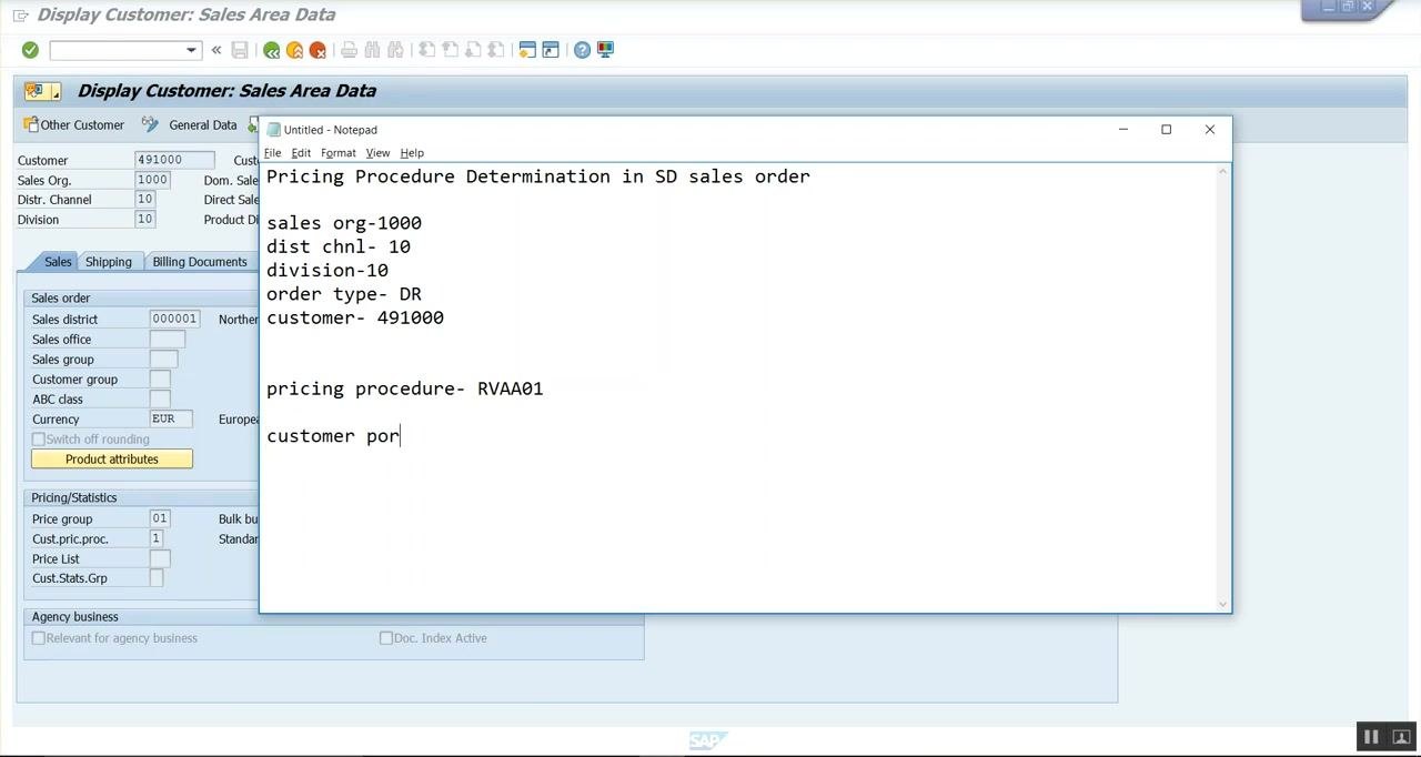 Display Customer: Sales Area Data with Cust.pric.proc. 1 and Price group 01