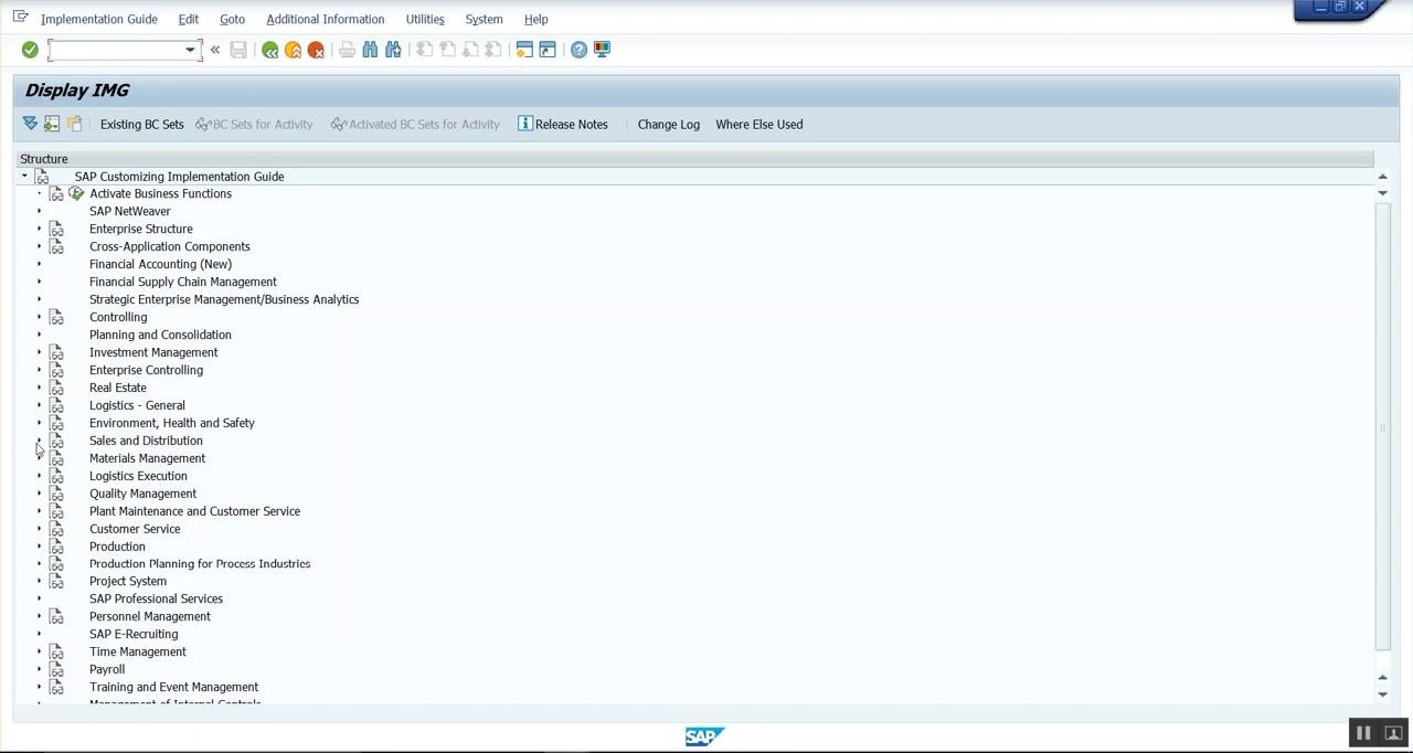 SAP IMG main structure with Sales and Distribution > Basic Functions > Pricing highlighted