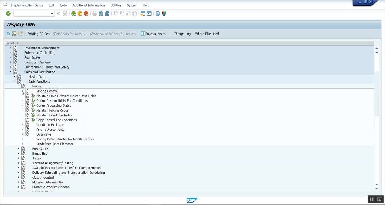 SAP IMG with Pricing Control and related configuration options visible