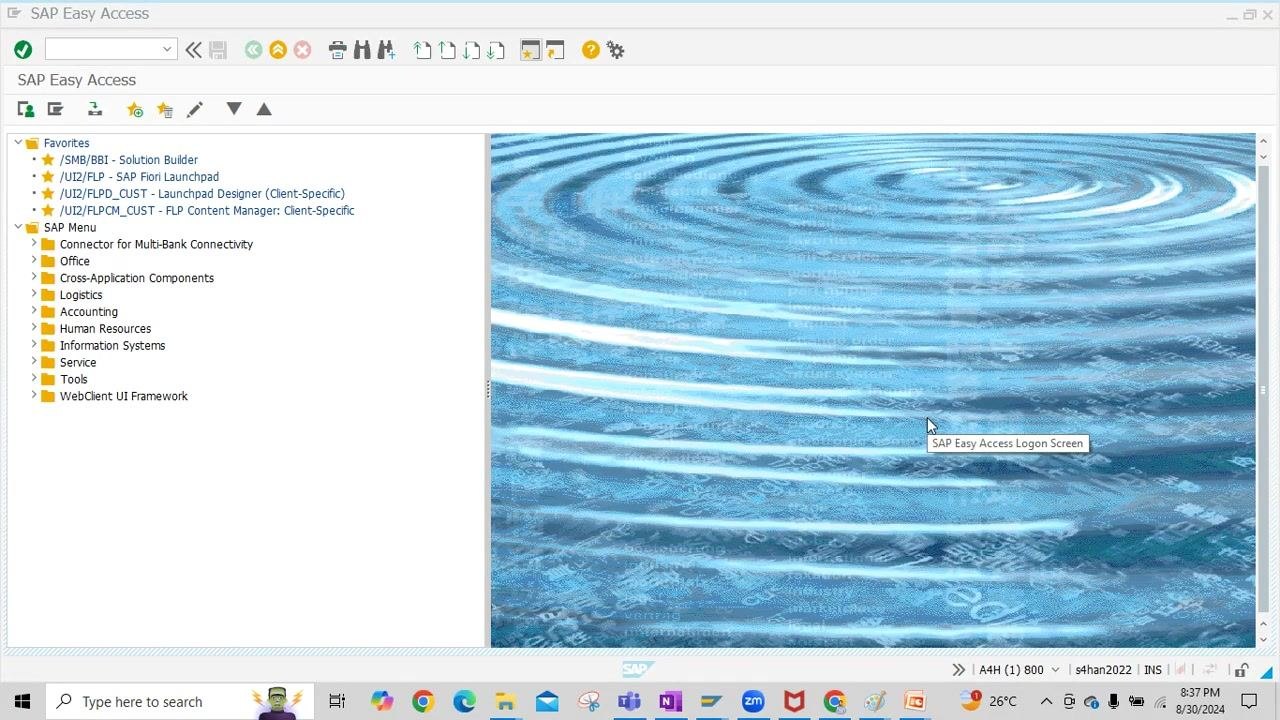 SAP Easy Access main menu with navigation tree and background image