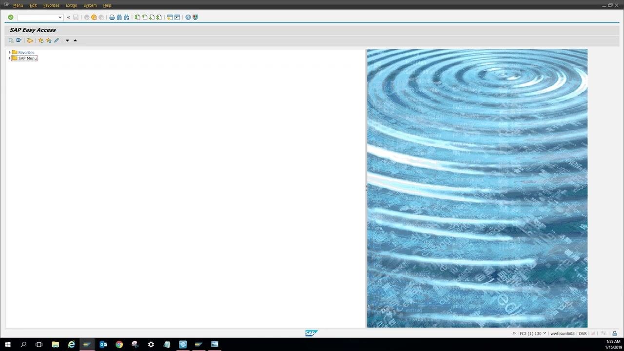 SAP Easy Access screen with menu and background image