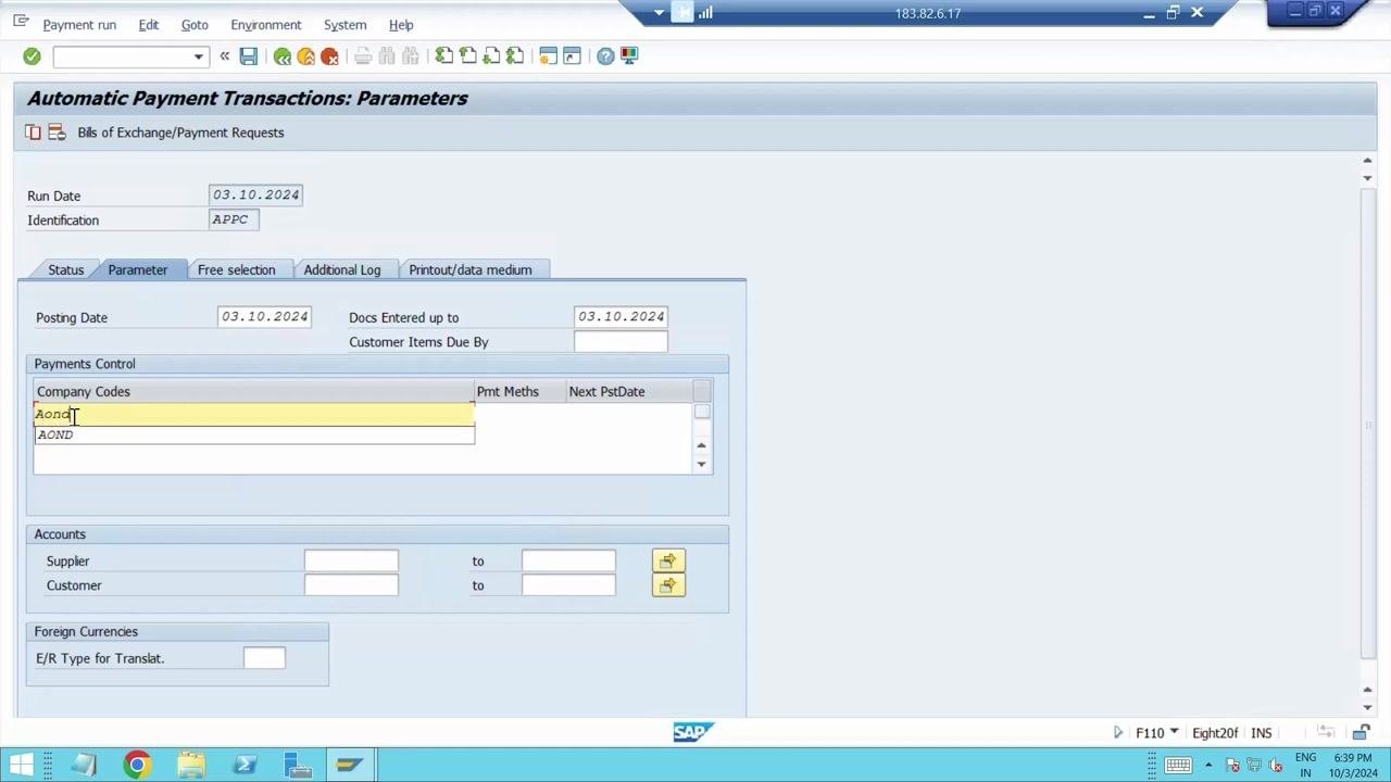 Automatic Payment Transactions: Parameters screen with Run Date, Identification, Company Code "AOND", and Posting Date filled