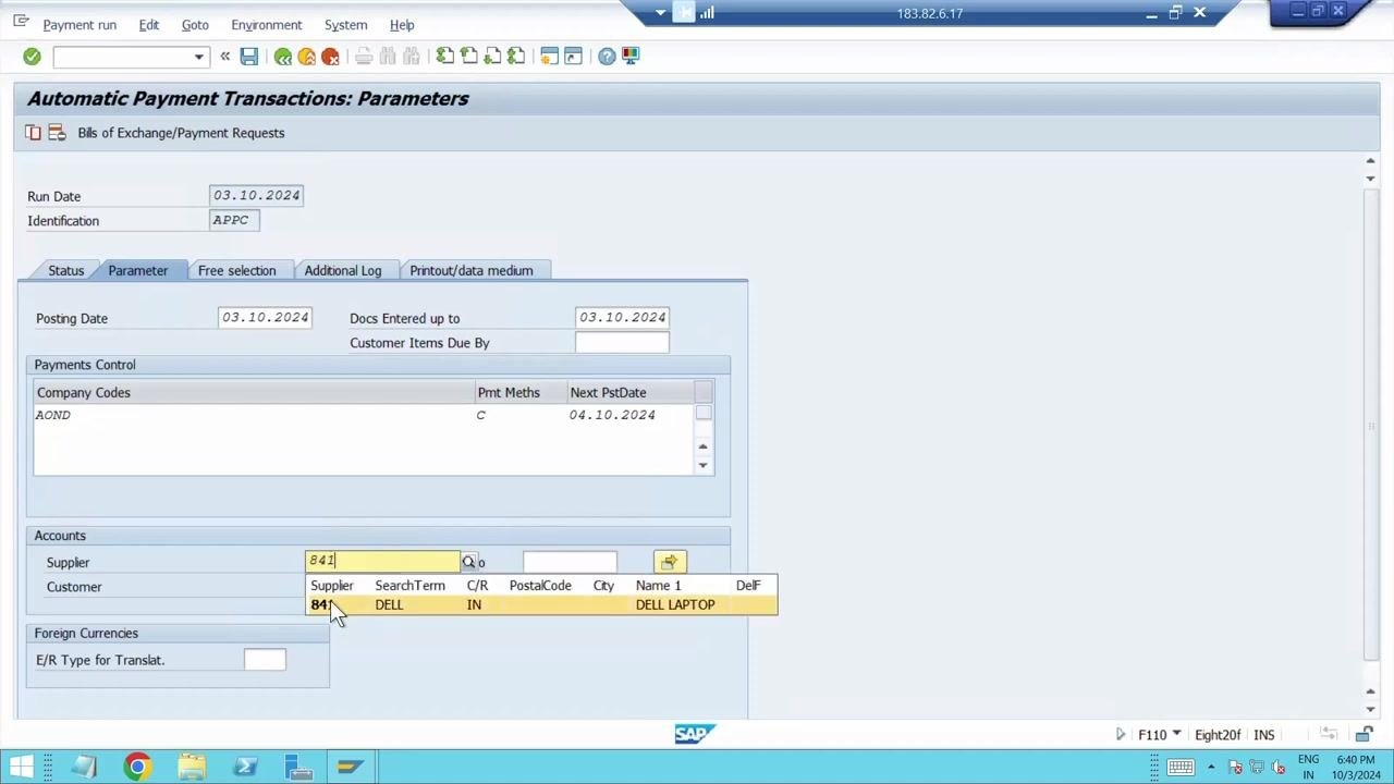 Next Posting Date being set to 04.10.2024 in the Parameters screen