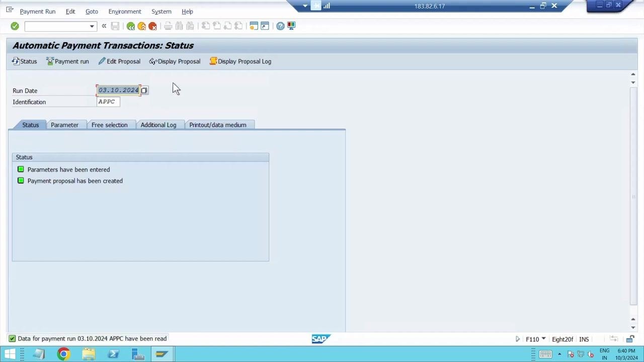 Status screen showing parameters entered and payment proposal created