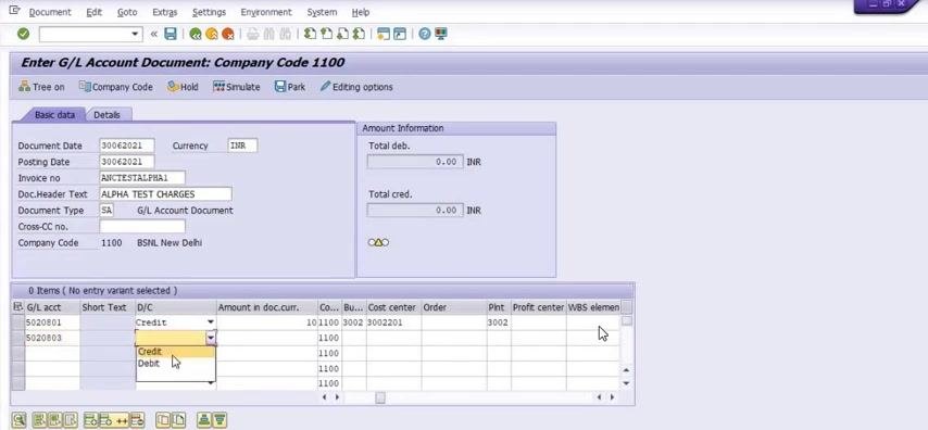 FB50 entry screen with multiple line items, showing G/L account, D/C (Credit/Debit), amount, business area, cost center, order, profit center, and WBS element fields.