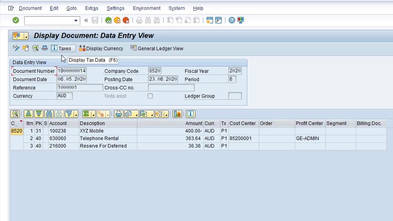 Display Document: Data Entry View screen with the green back arrow visible