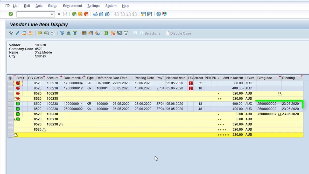 Vendor Line Item Display showing both the duplicate invoice and the reversal document, with clearing document and date fields populated