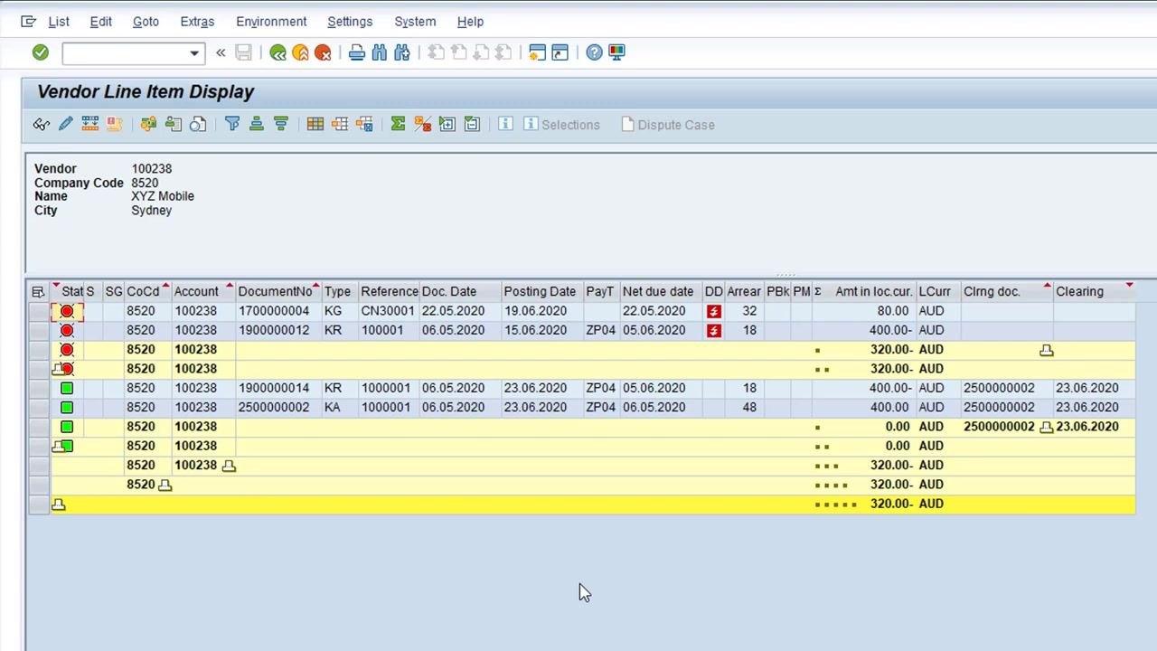 Vendor Line Item Display with both the duplicate invoice and the reversal document showing as cleared, with green status indicators and clearing details
