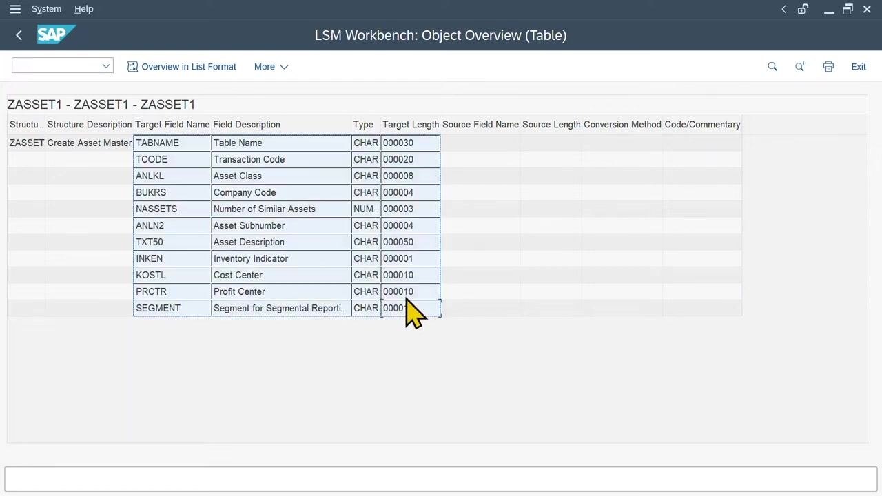 LSM Workbench Object Overview (Table) screen showing technical fields for asset master creation