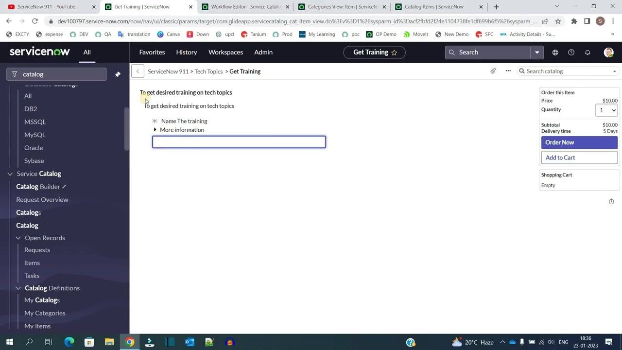 Catalog item details page showing the short description, variable input, help text, and order options.