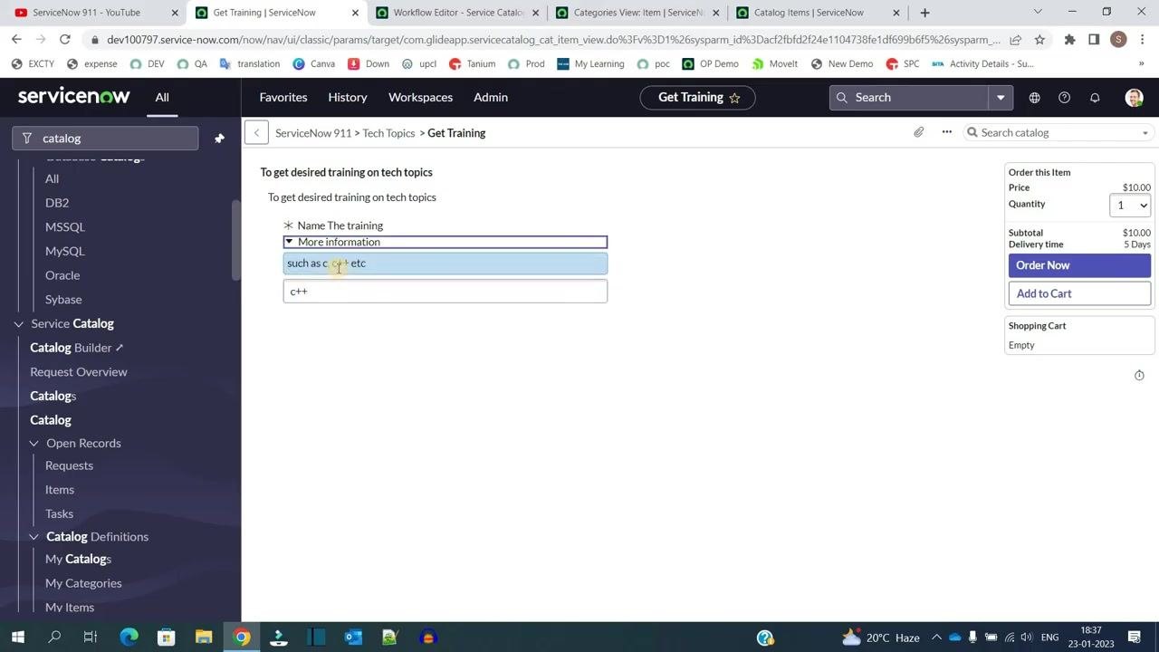 Catalog item form with the "More information" help text expanded and a sample input entered.
