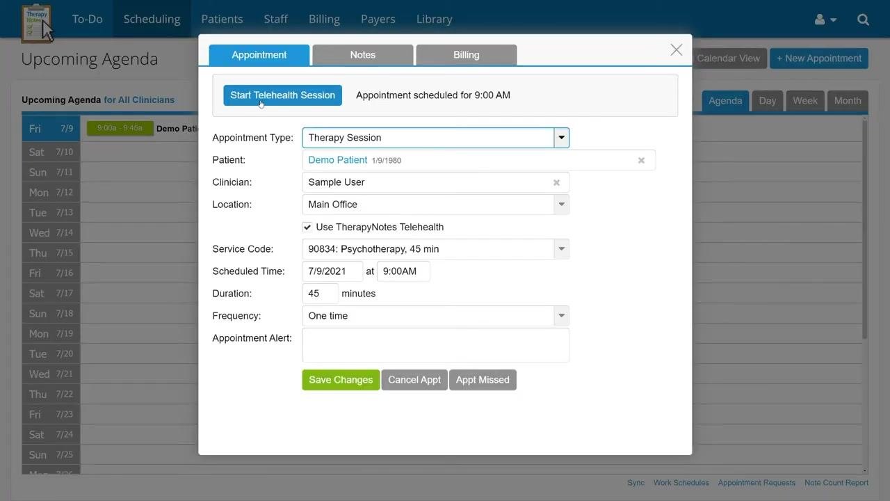 Appointment details window with the "Start Telehealth Session" button and appointment information.