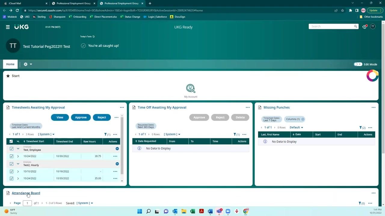 Selected timesheets with "View," "Approve," and "Reject" buttons visible above the list