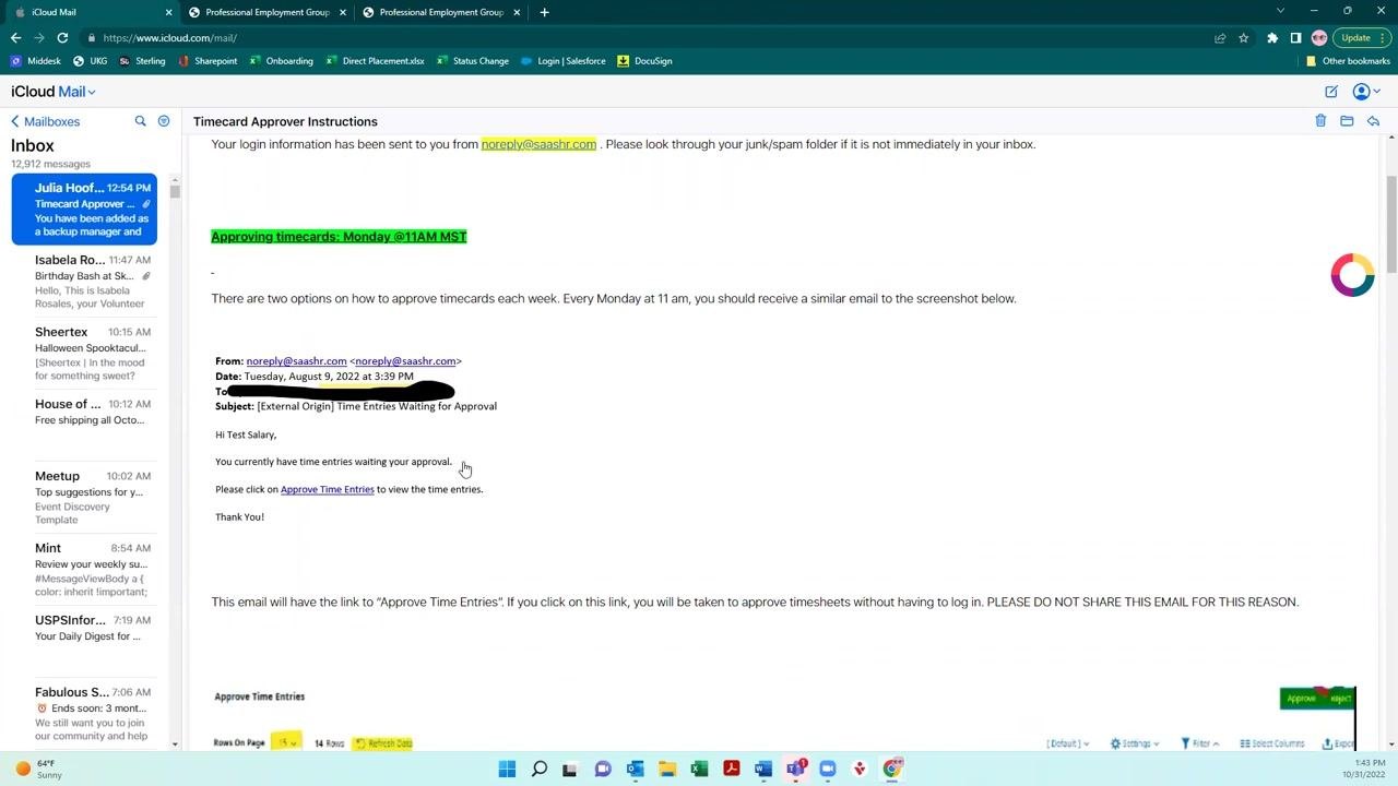 Sample email notification for timecard approval, showing the "Approve Time Entries" link and instructions