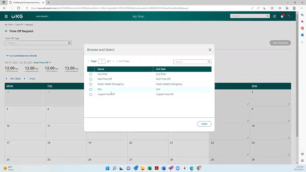 Browse and Select window listing the available time off types