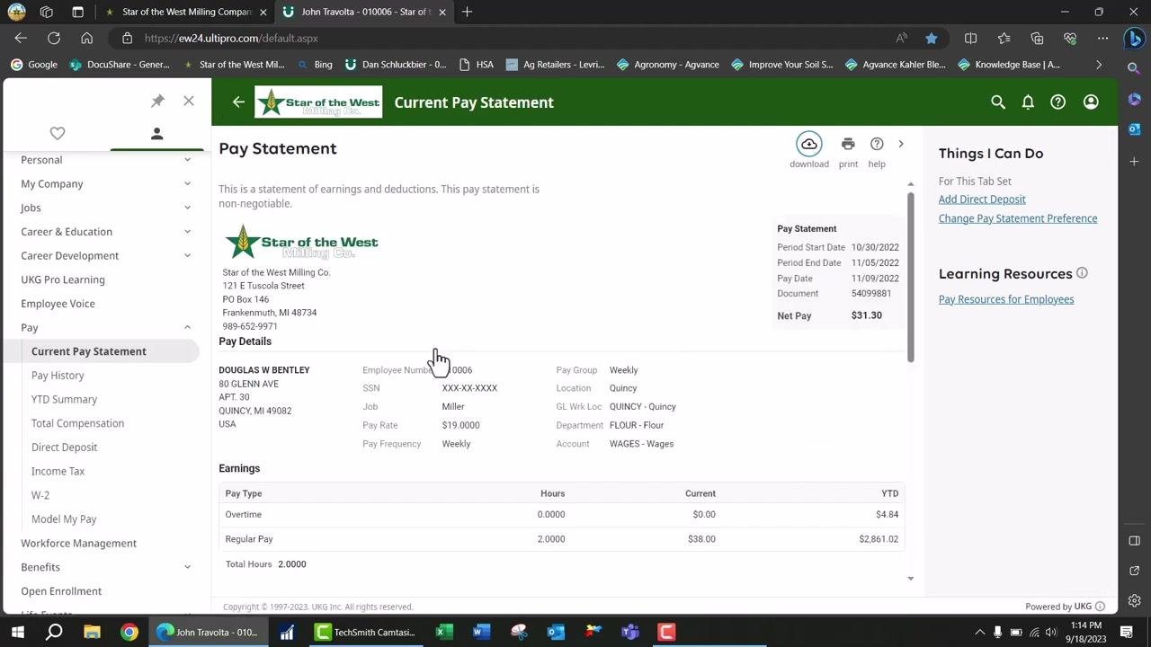 Home page showing the 'My pay' section with the 'View detailed paystub' link highlighted