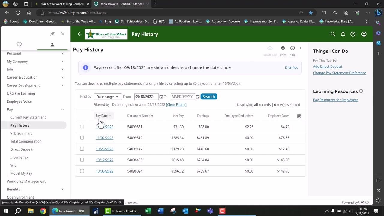 Pay statement showing the pay summary and net pay distribution for current and year-to-date values