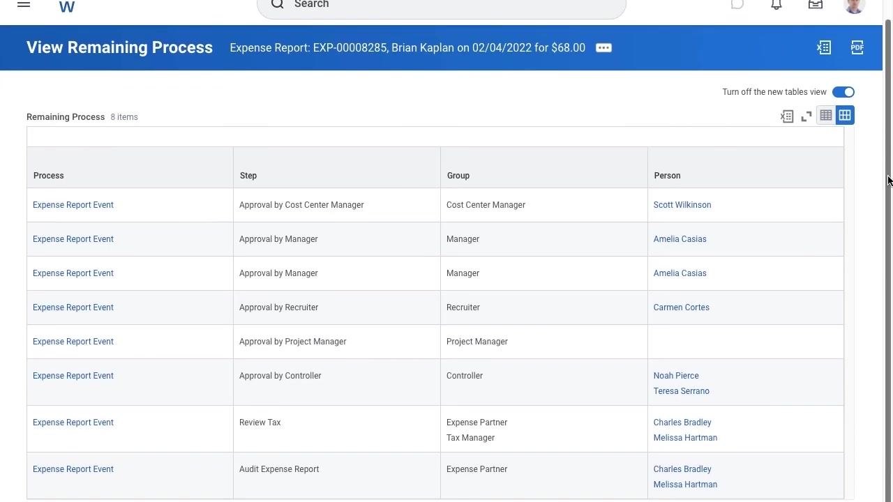 View Remaining Process screen showing the full approval workflow, including process steps, responsible groups, and assigned persons