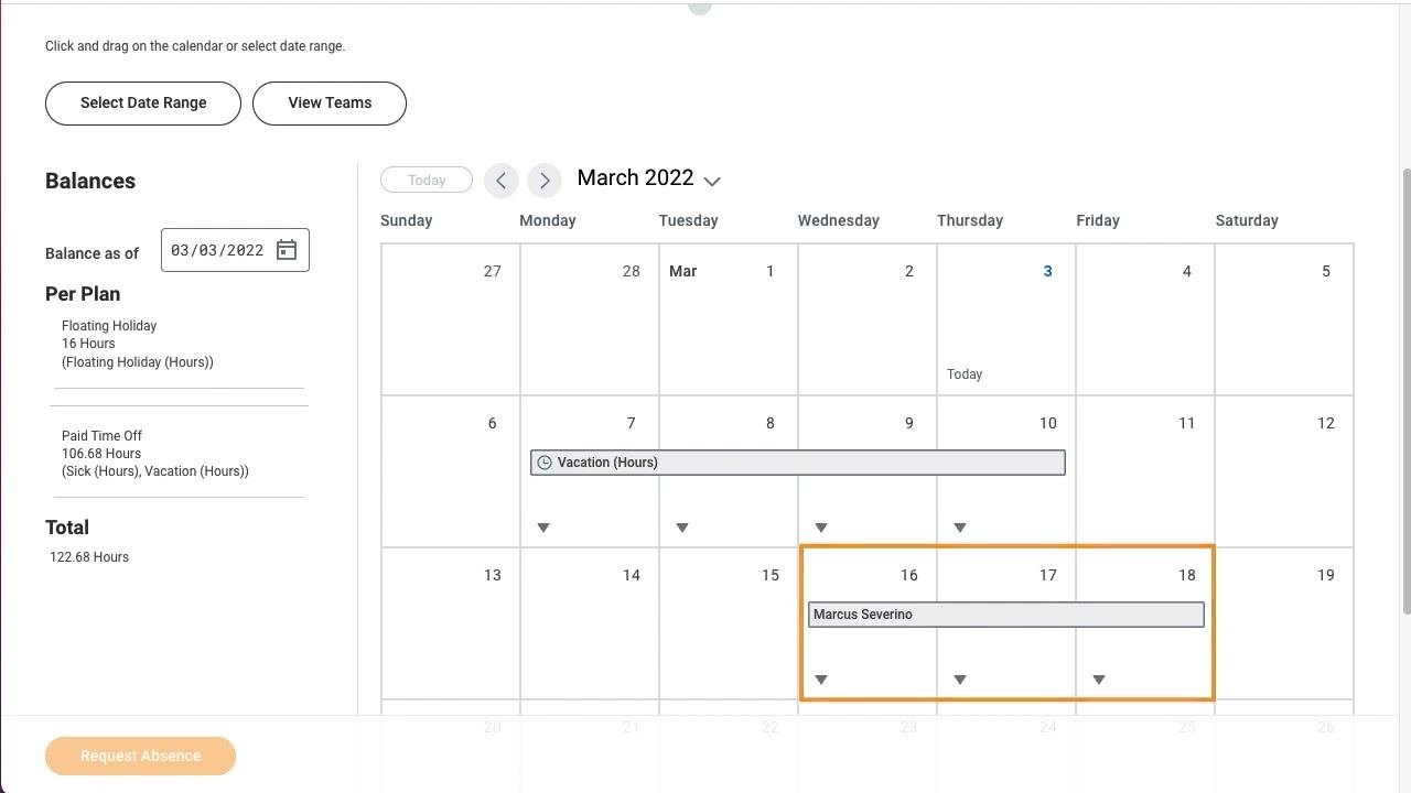Absence Calendar for a previous month showing vacation time and a team member's absence.