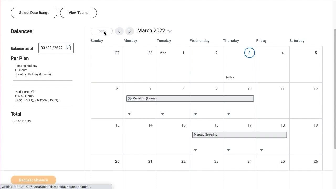 Calendar view showing existing absences and balances.