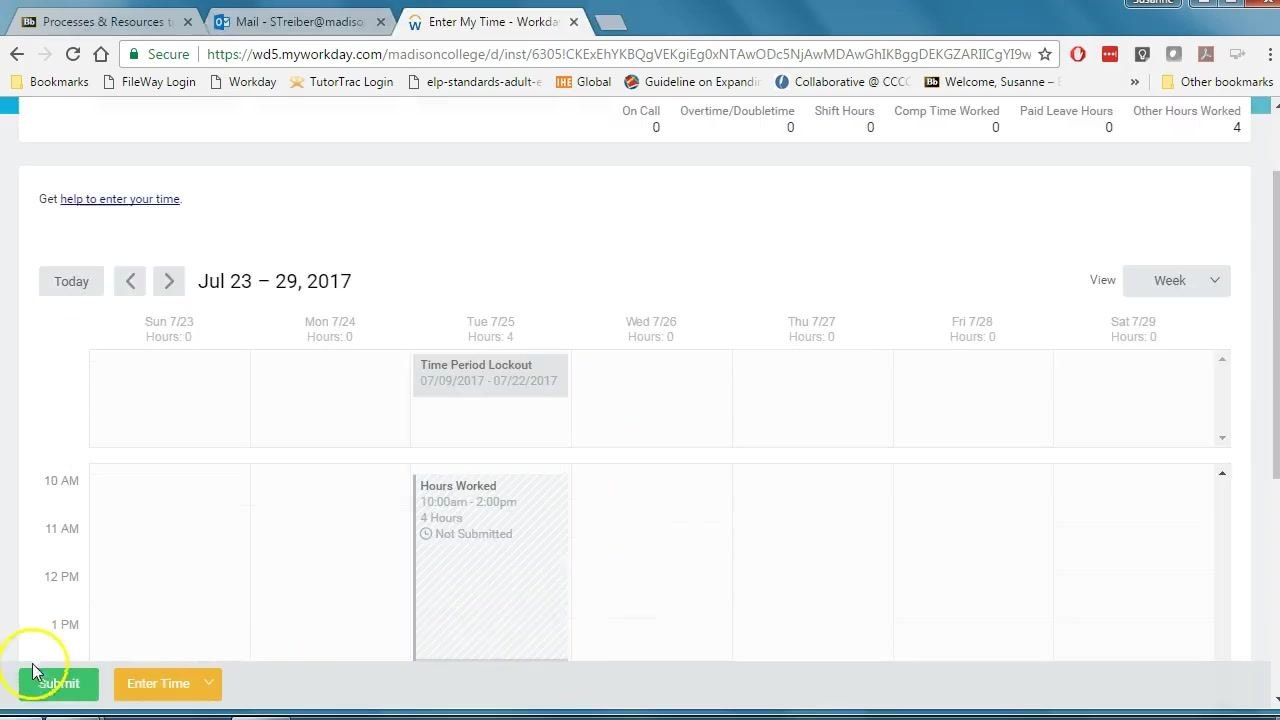 Workday Enter My Time screen showing "Other Hours Worked: 4" in the upper right corner, with a weekly calendar and time blocks entered.