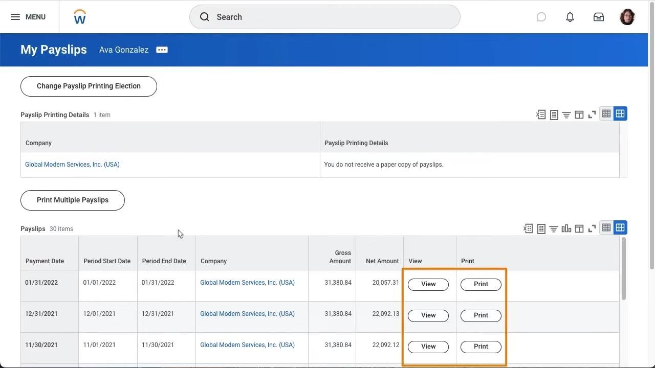 Payslips table with "View" and "Print" buttons highlighted for each row